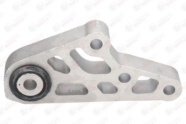 Variklio montavimas BIRTH 53046