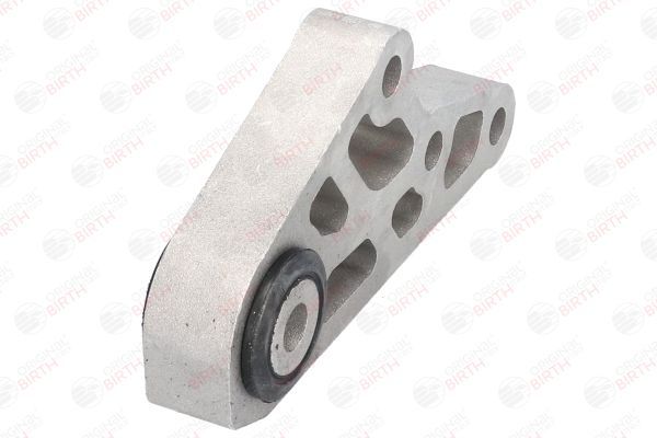 Variklio montavimas BIRTH 53046