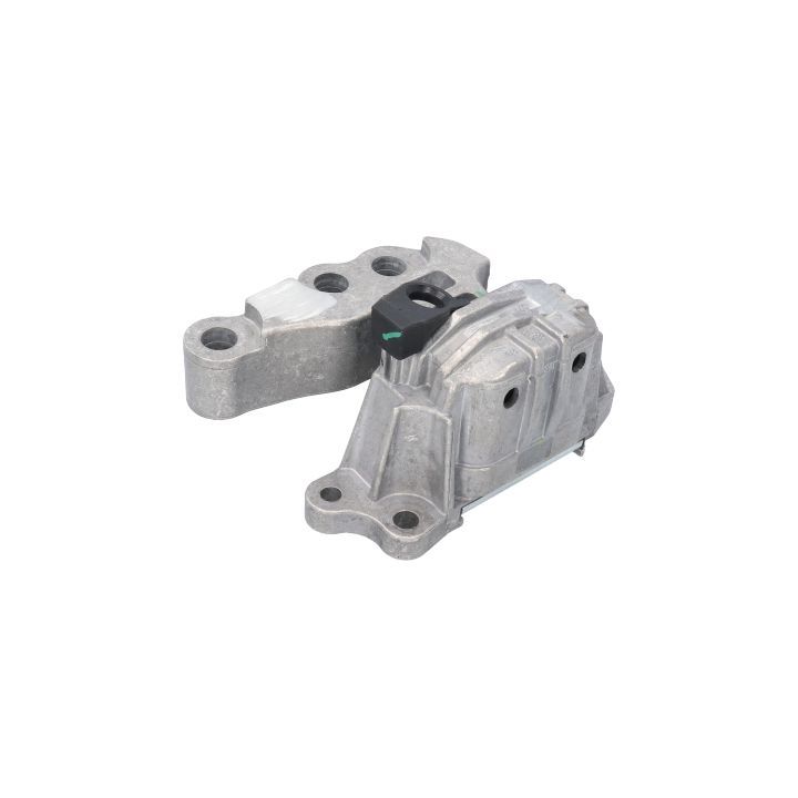 Variklio montavimas BIRTH 53048