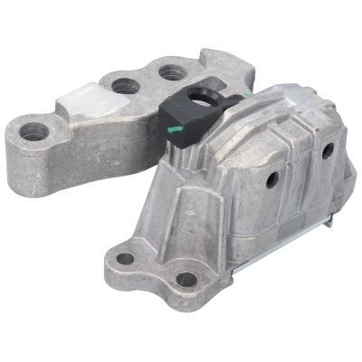 Variklio montavimas BIRTH 53048