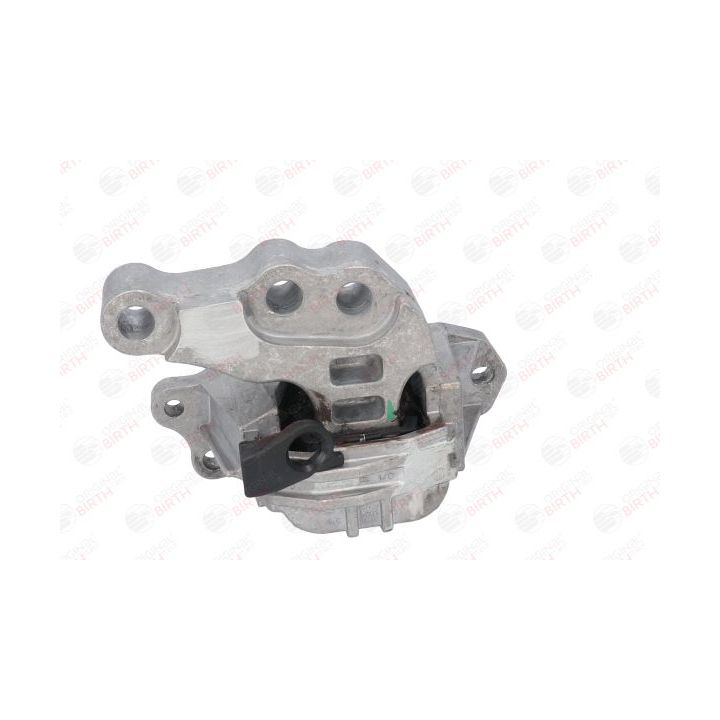 Variklio montavimas BIRTH 53048