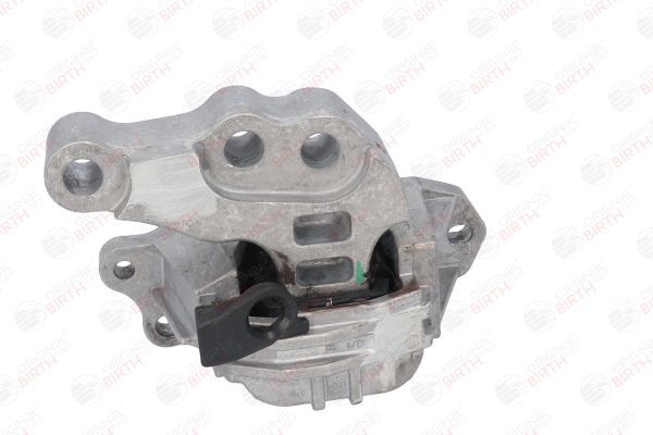 Variklio montavimas BIRTH 53048