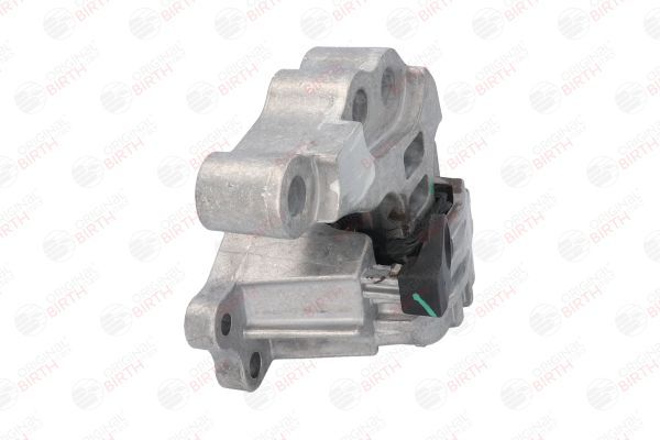 Variklio montavimas BIRTH 53048