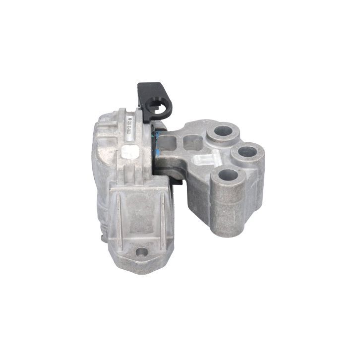 Variklio montavimas BIRTH 53050