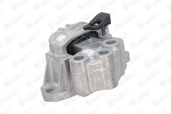 Variklio montavimas BIRTH 53050