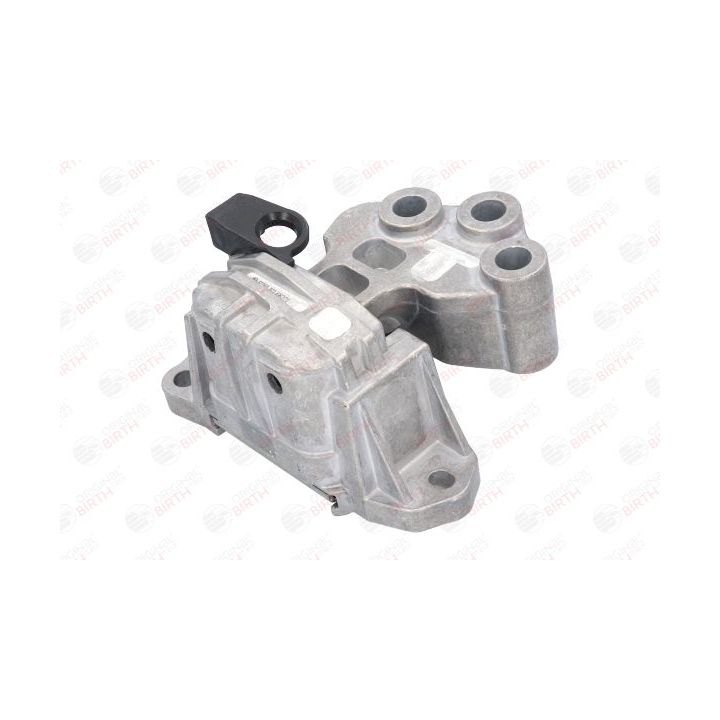 Variklio montavimas BIRTH 53050