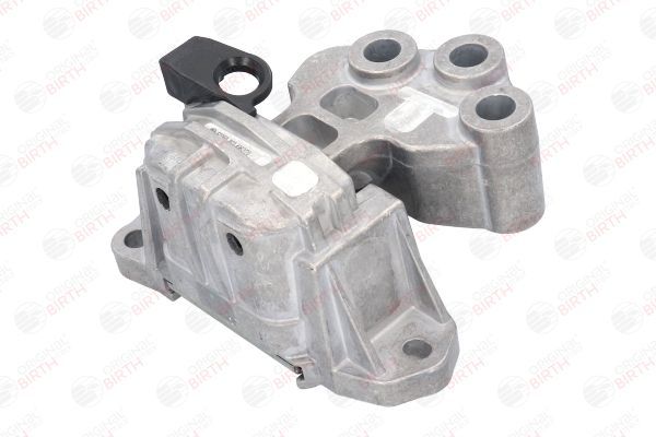 Variklio montavimas BIRTH 53050