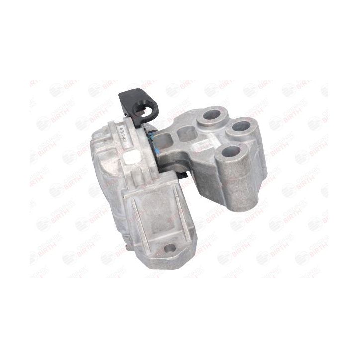 Variklio montavimas BIRTH 53050