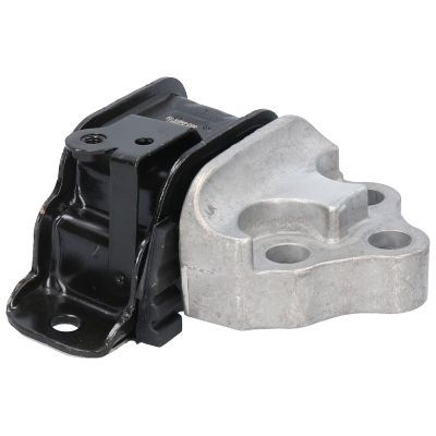 Variklio montavimas BIRTH 53051