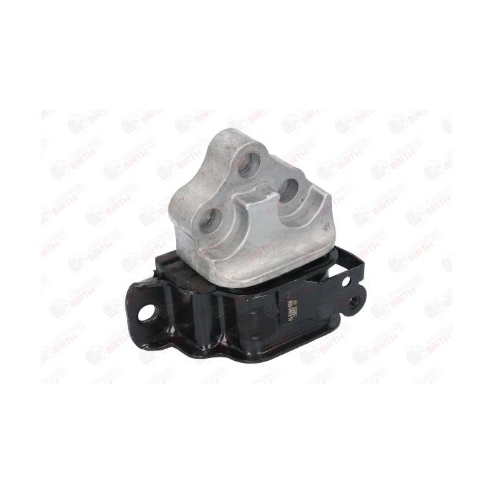 Variklio montavimas BIRTH 53051