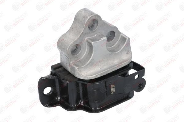 Variklio montavimas BIRTH 53051