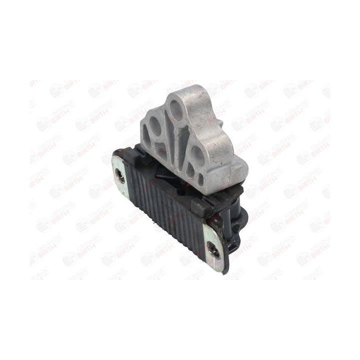 Variklio montavimas BIRTH 53051