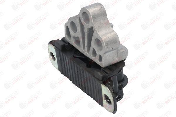 Variklio montavimas BIRTH 53051