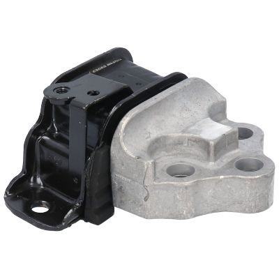 Variklio montavimas BIRTH 53052