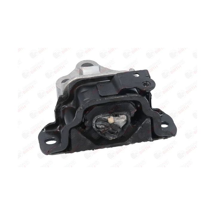 Variklio montavimas BIRTH 53052