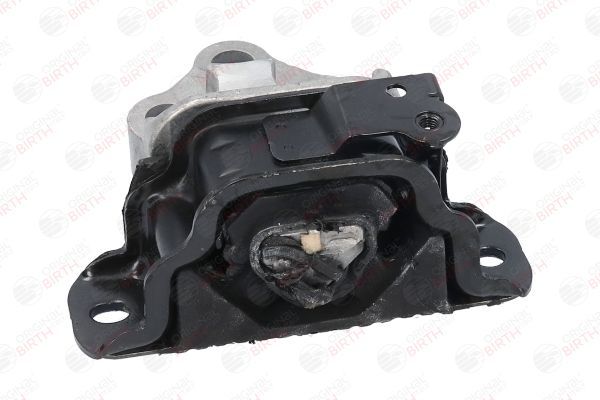 Variklio montavimas BIRTH 53052