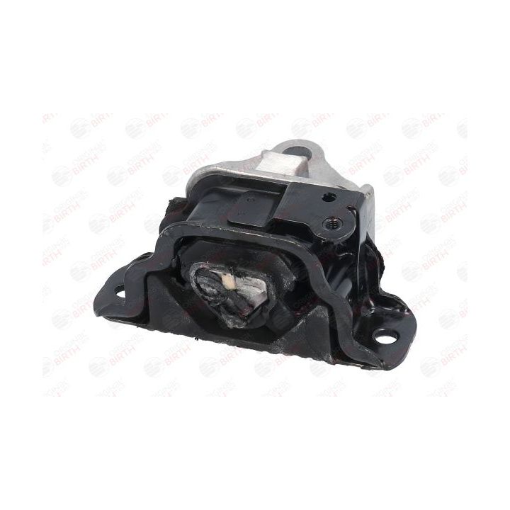 Variklio montavimas BIRTH 53052