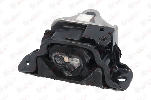 Variklio montavimas BIRTH 53052