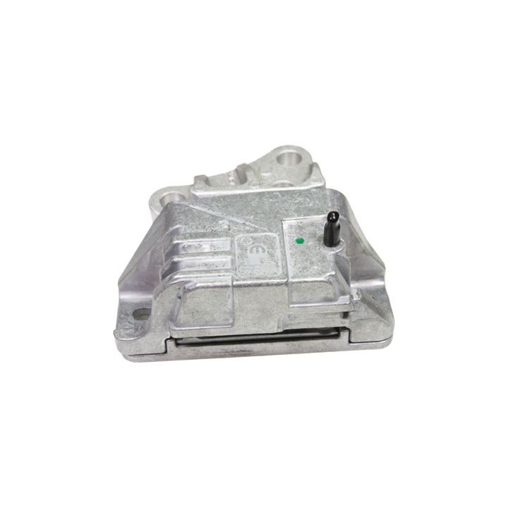 Variklio montavimas BIRTH 53053