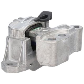 Variklio montavimas BIRTH 53054