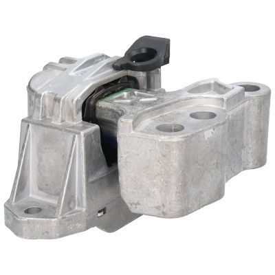 Variklio montavimas BIRTH 53054