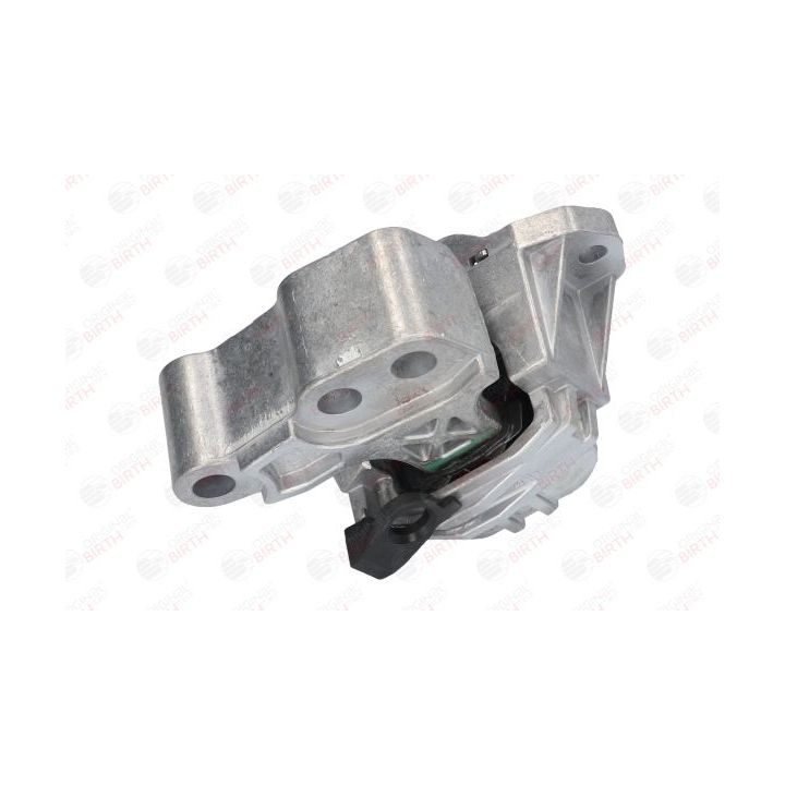 Variklio montavimas BIRTH 53054