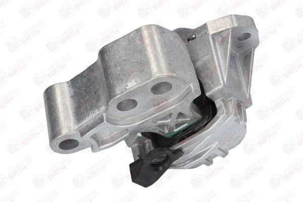 Variklio montavimas BIRTH 53054