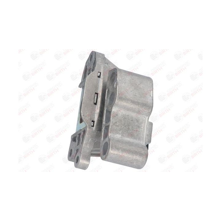 Variklio montavimas BIRTH 53054