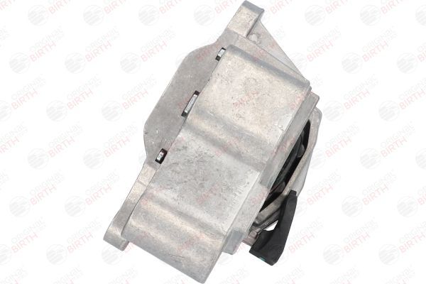 Variklio montavimas BIRTH 53054