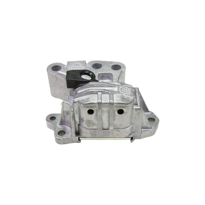 Variklio montavimas BIRTH 53058