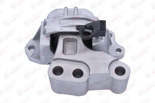 Variklio montavimas BIRTH 53058