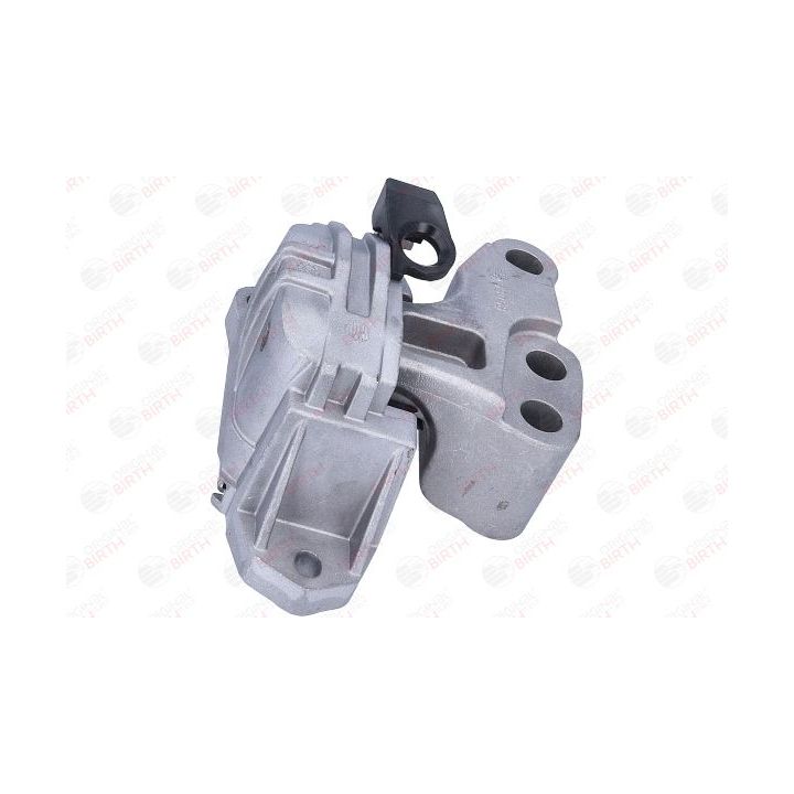 Variklio montavimas BIRTH 53058