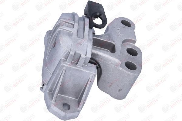 Variklio montavimas BIRTH 53058