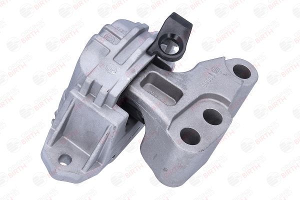 Variklio montavimas BIRTH 53058