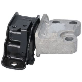 Variklio montavimas BIRTH 53059