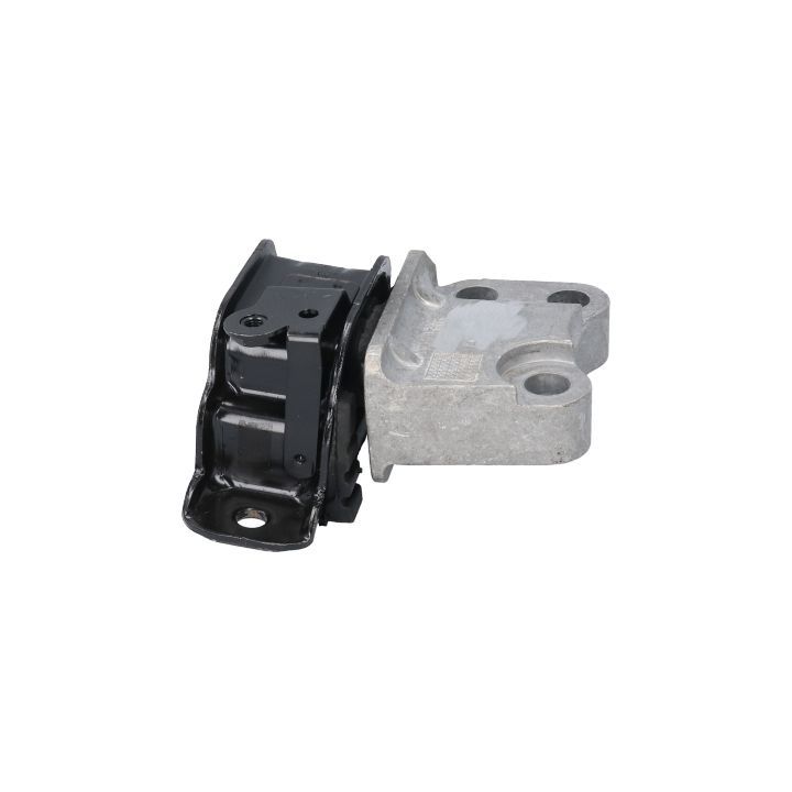 Variklio montavimas BIRTH 53059