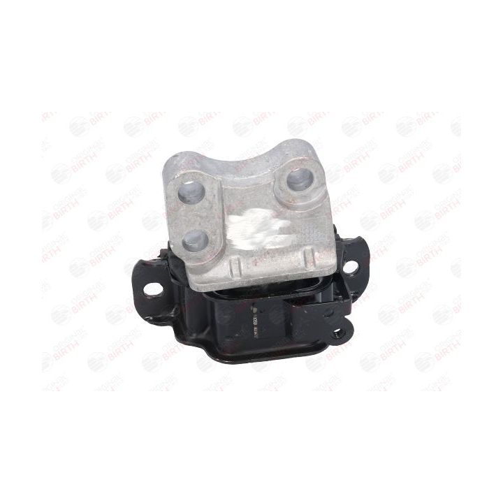 Variklio montavimas BIRTH 53059