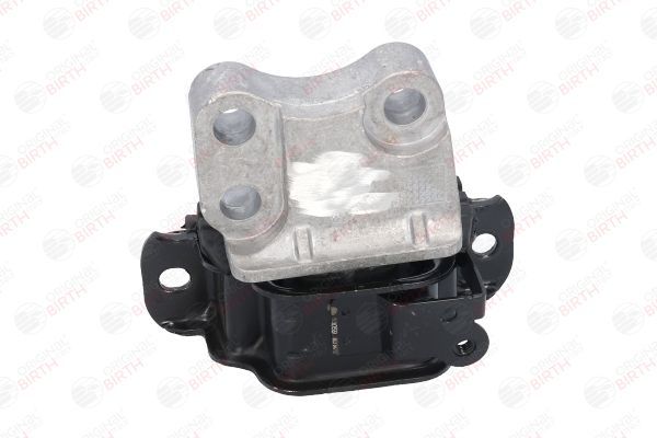 Variklio montavimas BIRTH 53059