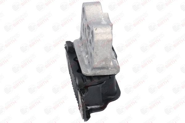 Variklio montavimas BIRTH 53059