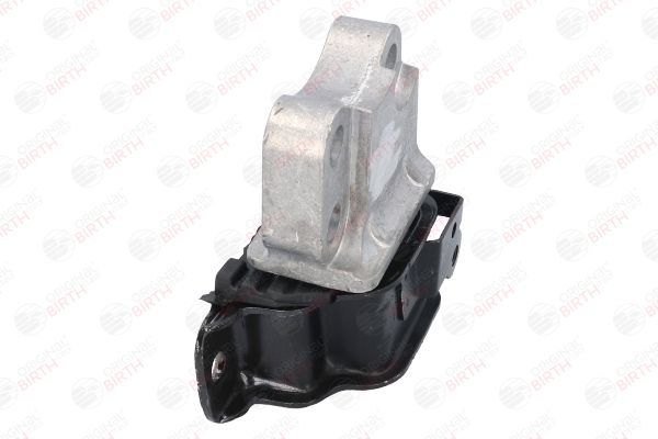 Variklio montavimas BIRTH 53059