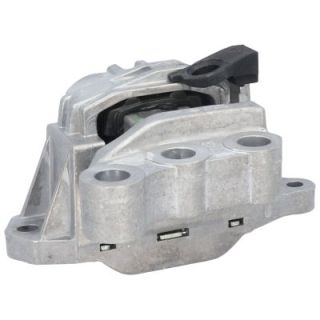 Variklio montavimas BIRTH 53064