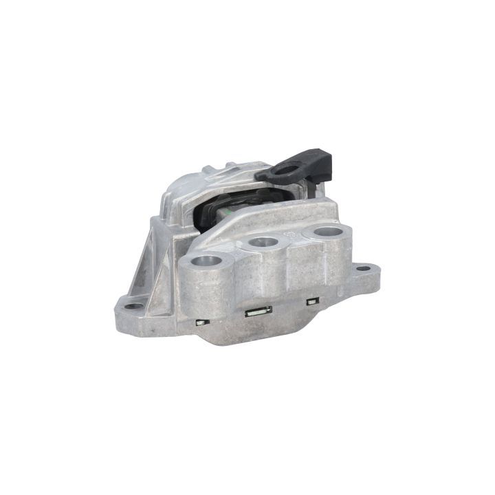 Variklio montavimas BIRTH 53064