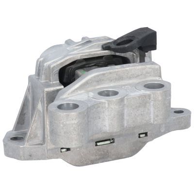 Variklio montavimas BIRTH 53064