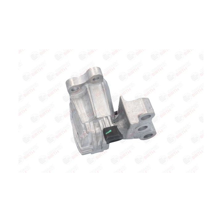 Variklio montavimas BIRTH 53064