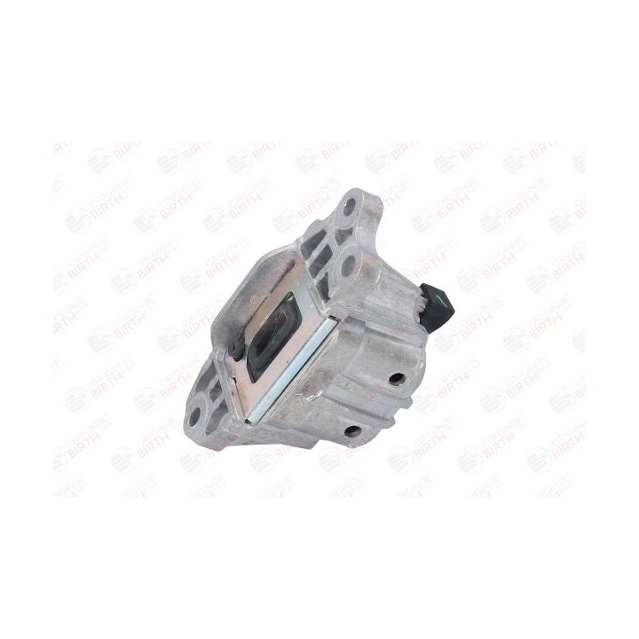 Variklio montavimas BIRTH 53064