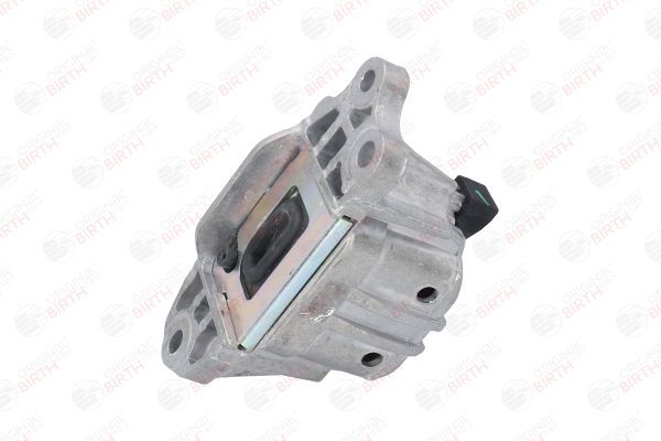 Variklio montavimas BIRTH 53064