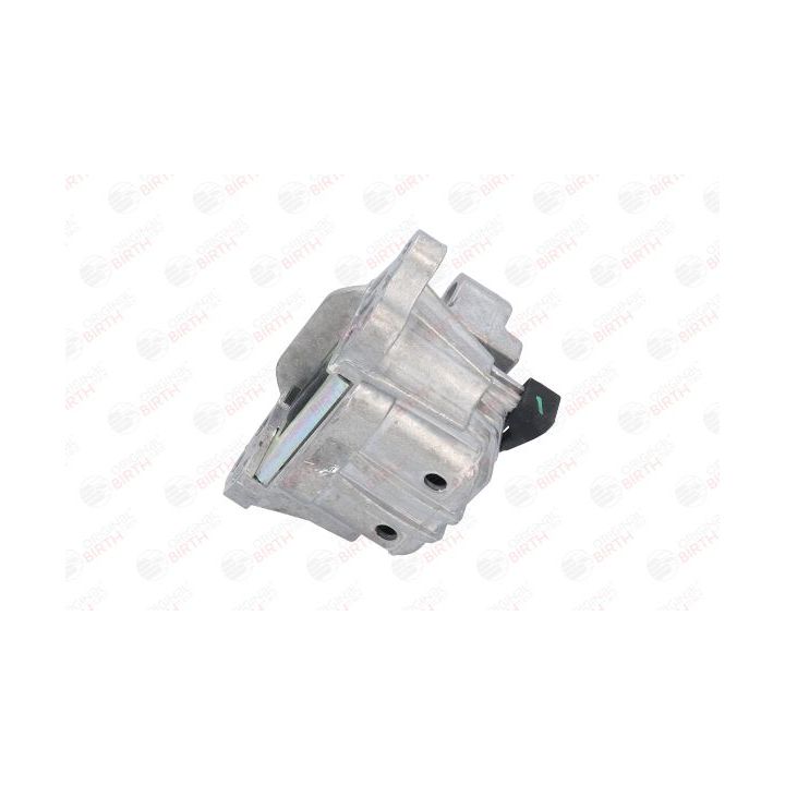 Variklio montavimas BIRTH 53064