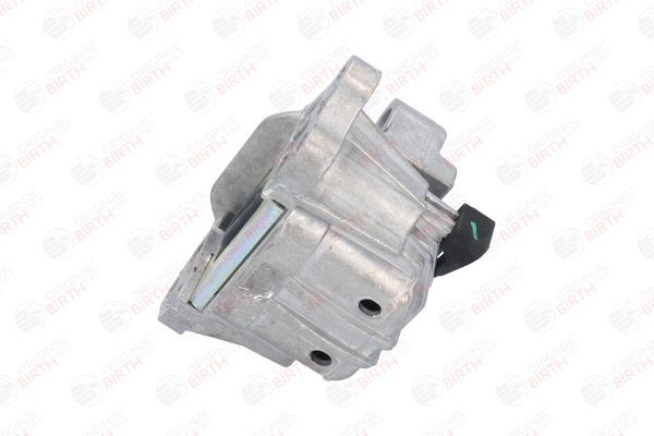 Variklio montavimas BIRTH 53064