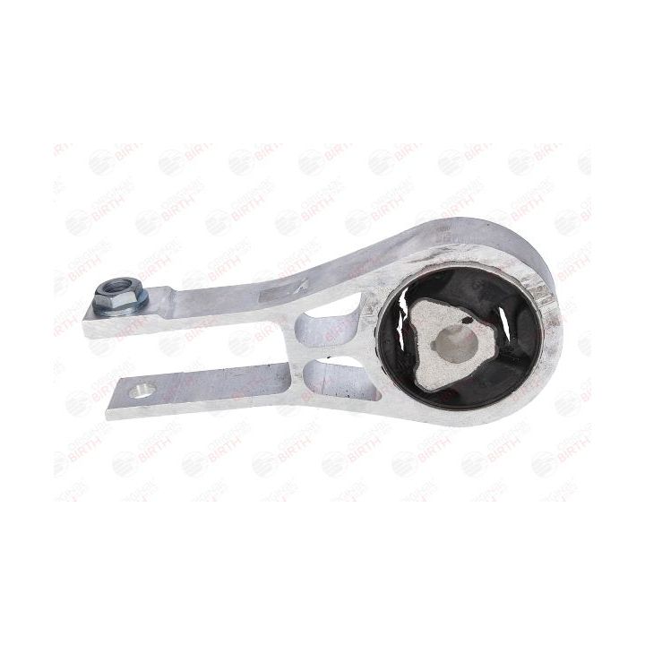 Variklio montavimas BIRTH 53065