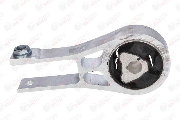 Variklio montavimas BIRTH 53065